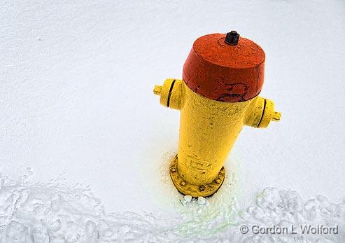 Hydrant_DSCF03213.jpg - Photographed at Smiths Falls, Ontario, Canada.